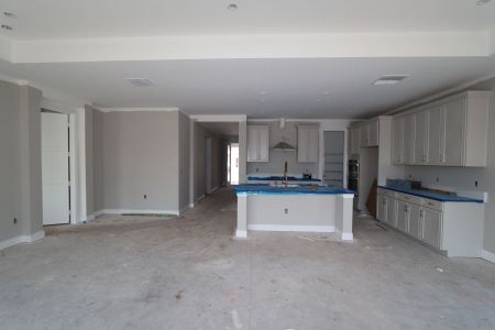 New construction Single-Family house 20264 Oriana Loop, Land O' Lakes, FL 34638 Santa Monica- photo 114 114