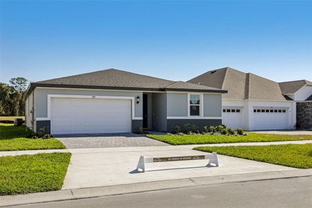 New construction Single-Family house 855 Sunshower Dr, Lady Lake, FL 32159 plan Hibiscus - image