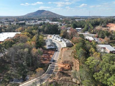 New construction Townhouse house 135 Bluffington Way, Marietta, GA 30066 Brooks- photo 26 26