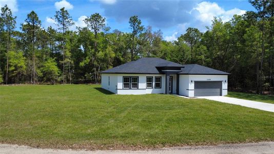 New construction Single-Family house 10099 N Carib Wy, Citrus Springs, FL 34434 - image