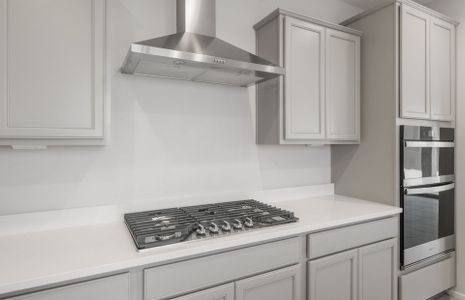 New construction Single-Family house 7846 W Cactus Wren Wy, Florence, AZ 85132 plan Haven - image 16