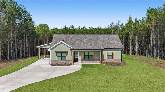 New construction Single-Family house 466 Mount Zion Church Rd, Tallapoosa, GA 30176 - image