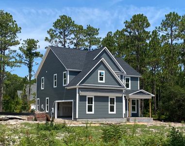 New construction Single-Family house 208 Whimbrel Wy, Hampstead, NC 28443 plan Armstrong - image