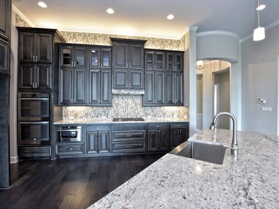 New construction Single-Family house 209 Bold Sundown, Liberty Hill, TX 78642 plan San Simeon II - image 19