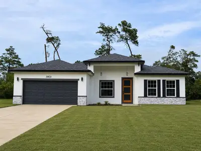 New construction Single-Family house 3901 Sw 161St Lp, Ocala, FL 34473 - image