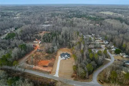 New construction Single-Family house 127 Tanners Bridge Rd, Bethlehem, GA 30620 - image