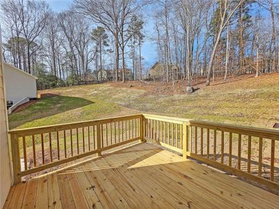 New construction Single-Family house 6210 Carlys Wy, Gainesville, GA 30506 - image 3