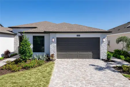 New construction Single-Family house Apollo Beach, FL 33572 - image