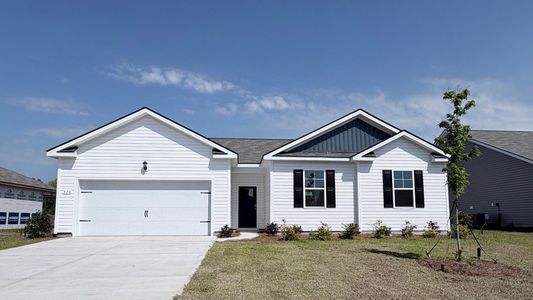 New construction Single-Family house 530 Italian Cypress Ct, Conway, SC 29526 plan Alston - image