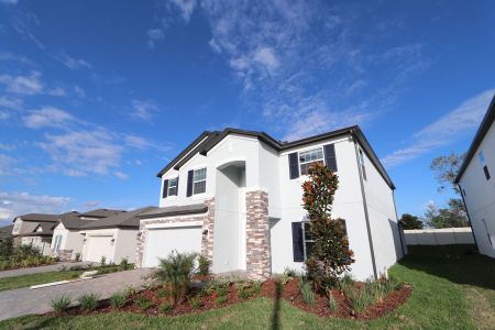 New construction Single-Family house 12176 Hilltop Farms Dr, Dade City, FL 33525 Malibu- photo 166 166