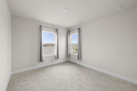 New construction Single-Family house 8612 Ivy Stark Blvd, Wesley Chapel, FL 33545 null- photo 19 19