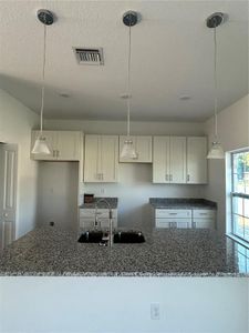 New construction Single-Family house 5115 Old Hwy 37, Lakeland, FL 33811 null- photo 4 4