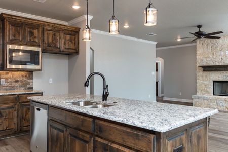 New construction Single-Family house Paradise, TX 76073 null- photo 14 14