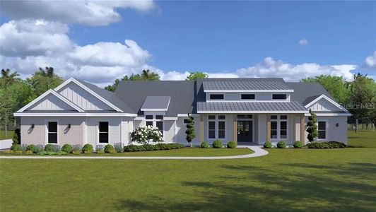 New construction Single-Family house 937 Old Welcome Road, Lithia, FL 33547 - photo 0