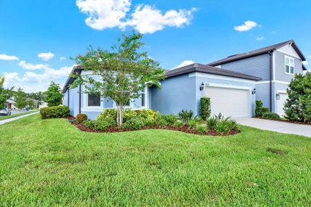 New construction Single-Family house 3791 Almond Brook Blvd, Land O' Lakes, FL 34638 - image