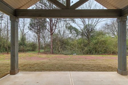 The Pines at Ashton Place by Hughston Homes in Newnan - photo 18 18