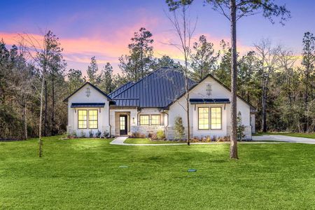 New construction Single-Family house 7613 Trinity Pines Dr, Montgomery, TX 77316 Perugia- photo 0