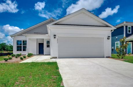 New construction Single-Family house 8652 Farrier Dr, Myrtle Beach, SC 29588 plan Camden - image