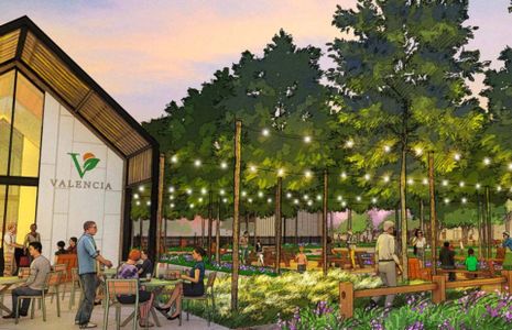 New construction Single-Family house 19134 Pink Grapefruit St, Manvel, TX 77578 plan Hamilton - image