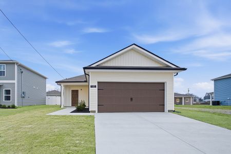 New construction Single-Family house 100 Phillips Dr, Manchester, TN 37355 plan Henry - image