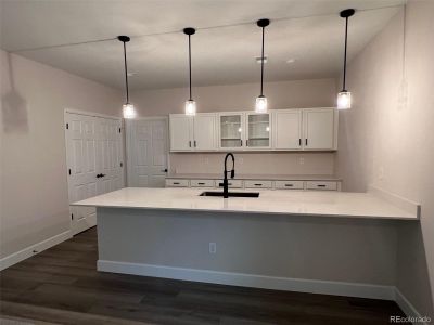 New construction Single-Family house 8240 Cokedale Cir, Littleton, CO 80125 Farmington- photo 16 16