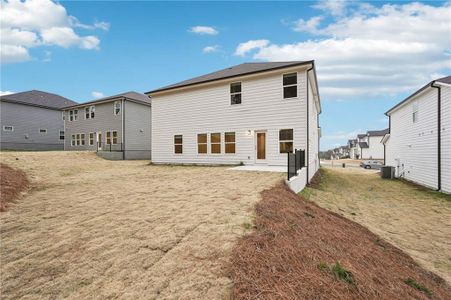 New construction Single-Family house 169 Ivey Township Dr, Dallas, GA 30132 Johnson- photo 53 53