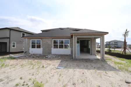 New construction Single-Family house 31205 Denham Ridge Ln, Wesley Chapel, FL 33545 Santa Monica- photo 72 72