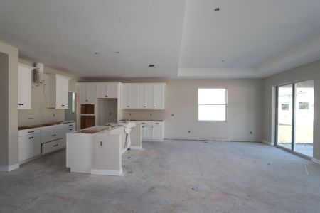 New construction Single-Family house 20050 Oriana Loop, Land O' Lakes, FL 34638 Santa Monica- photo 88 88