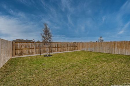 New construction Single-Family house 220 Alpine Lks, New Braunfels, TX 78130 Ellington Plan- photo 25 25