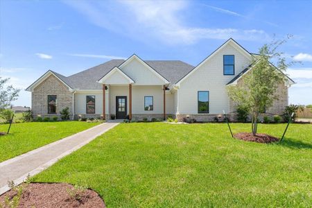 New construction Single-Family house 135 Paddle Boat Ct, Robinson, TX 76706 - image