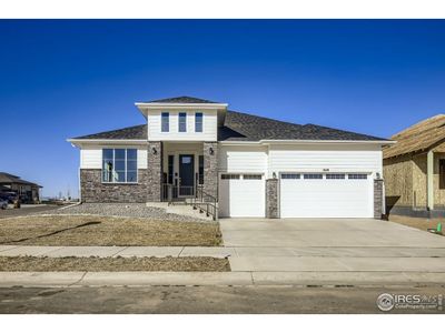 New construction Single-Family house 1648 Sundown Run Dr, Windsor, CO 80550 plan Plan C555 - image