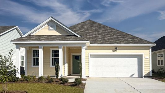 New construction Single-Family house 271 Ridley St, Longs, SC 29568 plan Aria - image