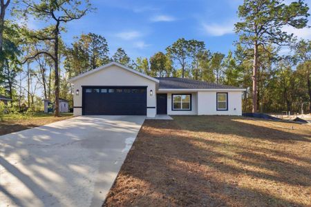 New construction Single-Family house 2992 W Camilo Dr, Citrus Springs, FL 34434 - image