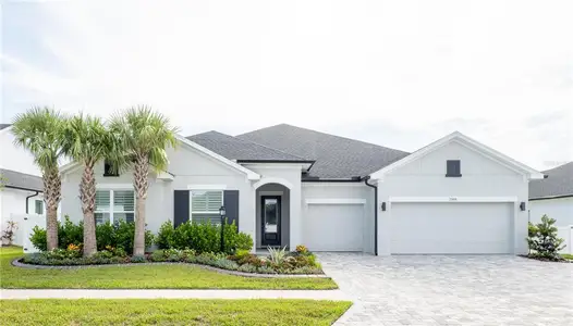New construction Single-Family house 7504 Ashbrooke Pine Lp, Odessa, FL 33556 - image