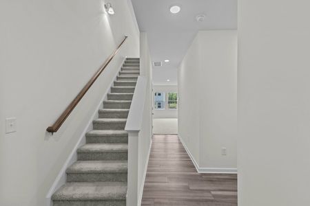 Vacek Pointe by Starlight Homes in Richmond - photo 34 34