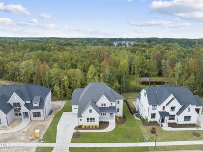 New construction Single-Family house 2518 Silas Peak Ln, Apex, NC 27523 - photo 18 18