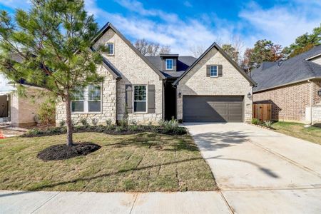 New construction Single-Family house 29507 Cedar Elm Way, Tomball, TX 77375 The Omni- photo 0