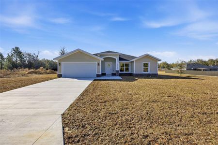 New construction Single-Family house 13192 Sw 112Th Pl, Dunnellon, FL 34432 - image