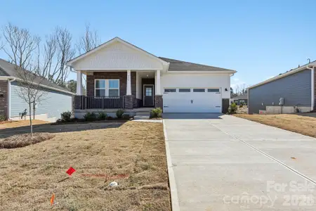 New construction Single-Family house 730 Palmer Pendleton Wy, York, SC 29745 plan Chandler Basement - image