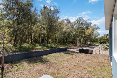 New construction Townhouse house 5228 Luisa Ct, St. Cloud, FL 34771 null- photo 57 57