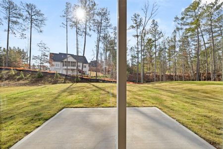 New construction Single-Family house 2290 Treaty Ln, Douglasville, GA 30135 Portland- photo 14 14