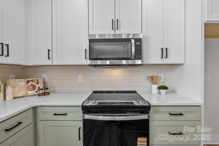 New construction Single-Family house 1681 Woolie Rd, Lincolnton, NC 28092 - image 13