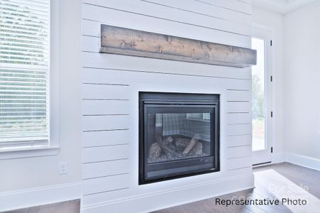 New construction Single-Family house 4178 Millstream Rd, Denver, NC 28037 - image 13