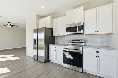 New construction Single-Family house 9125 Tibet Hwy Se, Allenhurst, GA 31301 plan The Chatman - image 11