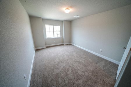 New construction Single-Family house 312 Proctor Grv, Cibolo, TX 78108 Weimer- photo 14 14
