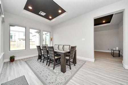 New construction Single-Family house 10015 Crescent Wood Dr, Missouri City, TX 77459 Anahuac (3624-HL-60)- photo 17 17