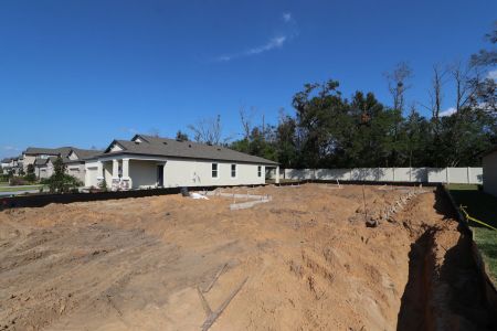 New construction Single-Family house 12008 Hilltop Farms Dr, Dade City, FL 33525 Alenza- photo 3 3