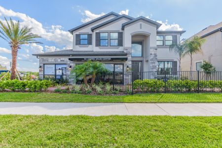 New construction Single-Family house 10805 Rolling Moss Rd, Tampa, FL 33647 Sonoma II- photo 0