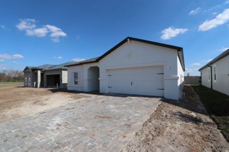 New construction Single-Family house 3150 Adams Cross Dr, Zephyrhills, FL 33540 Miranda- photo 78 78