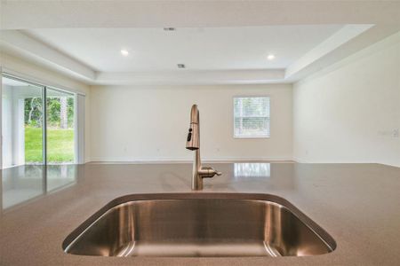 New construction Single-Family house 11347 Striped Bass Ct, New Port Richey, FL 34654 plan Pompei - image 20